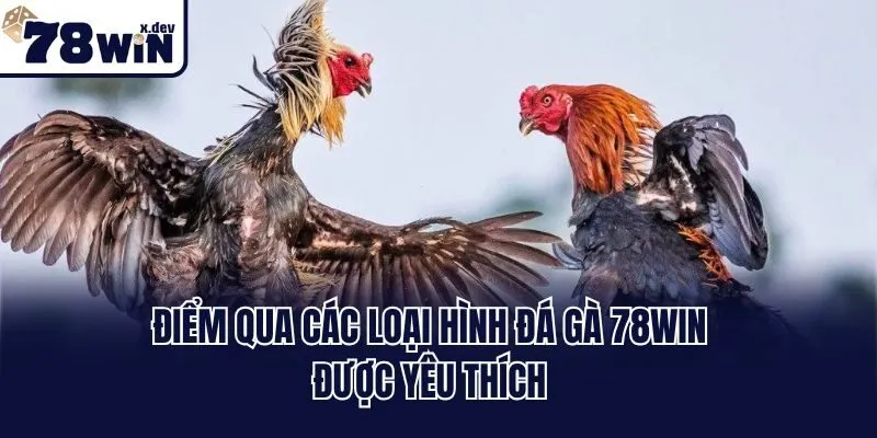 Điểm qua các loại hình đá gà 78win được yêu thích