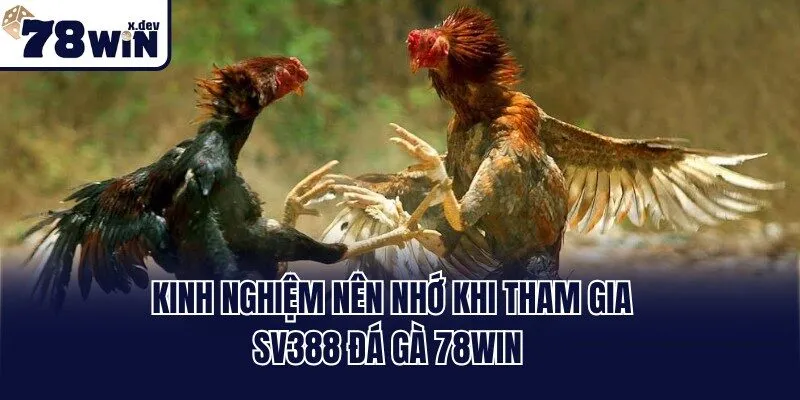 Kinh nghiệm nên nhớ khi tham gia Sv388 Đá Gà 78win 