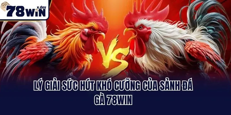 Lý giải sức hút khó cưỡng của sảnh đá gà 78win